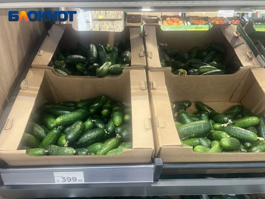 Огурцы по цене мяса завезли в магазины Краснодара: экономист назвал причины