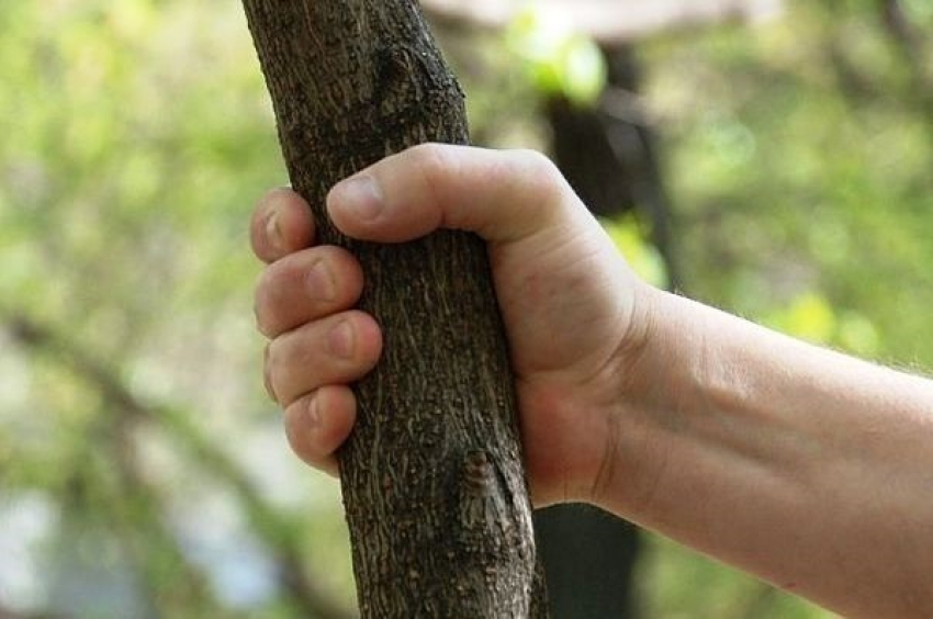 На Кубани в пьяной разборке из-за женщины мужчина до смерти забил друга палкой