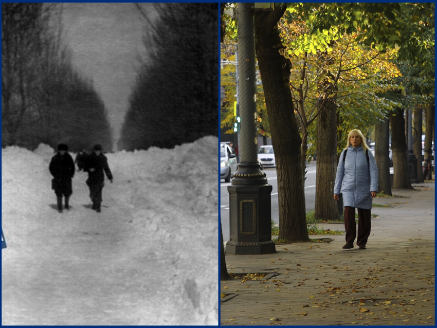 День первых признаков зимы: какой она была в Краснодаре