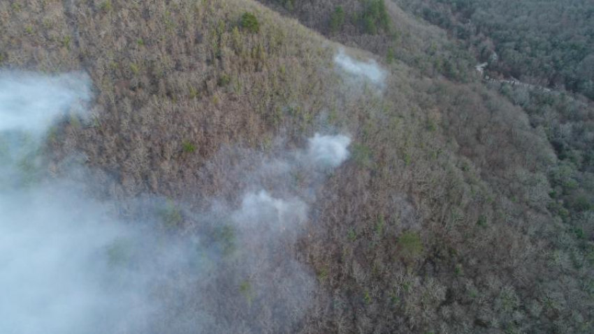 С четырьмя лесными пожарами борются кубанские спасатели