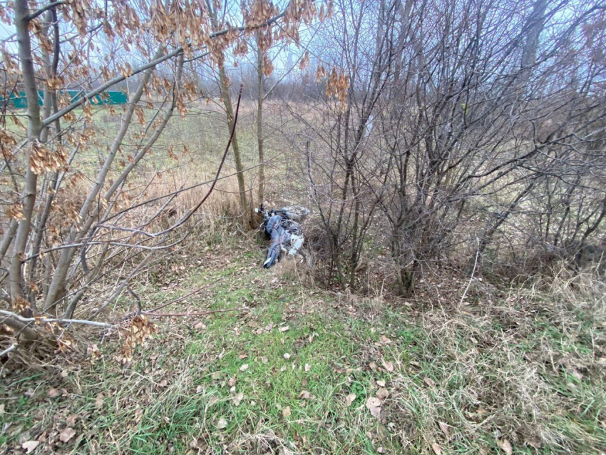 Под Краснодаром пассажир мотоцикла погиб от удара об дерево