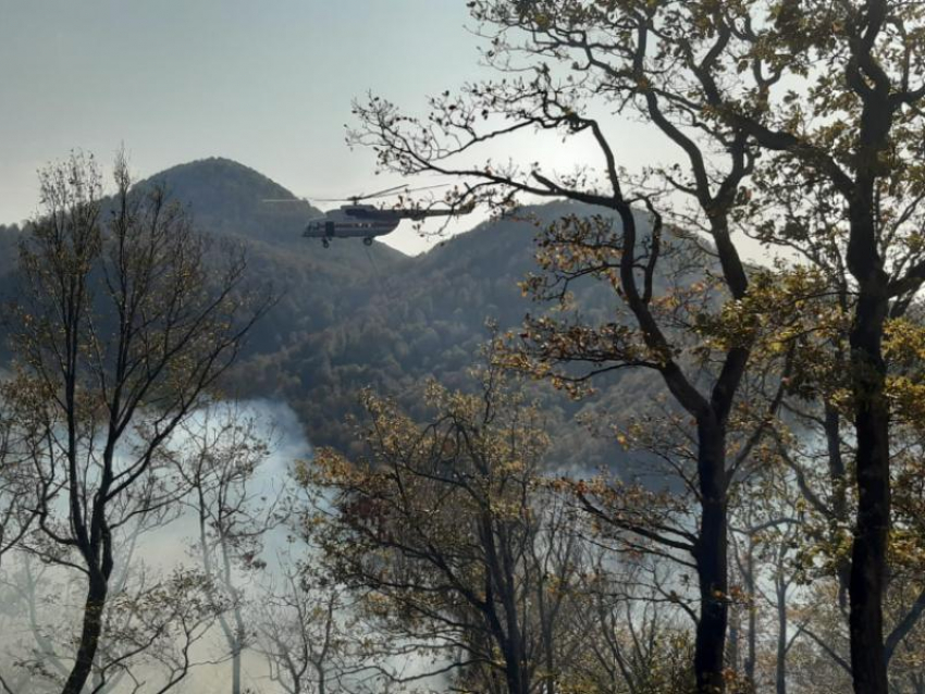 Двое суток борьбы, почти сотня спасателей, использование авиации: на Кубани удалось потушить лесной пожар