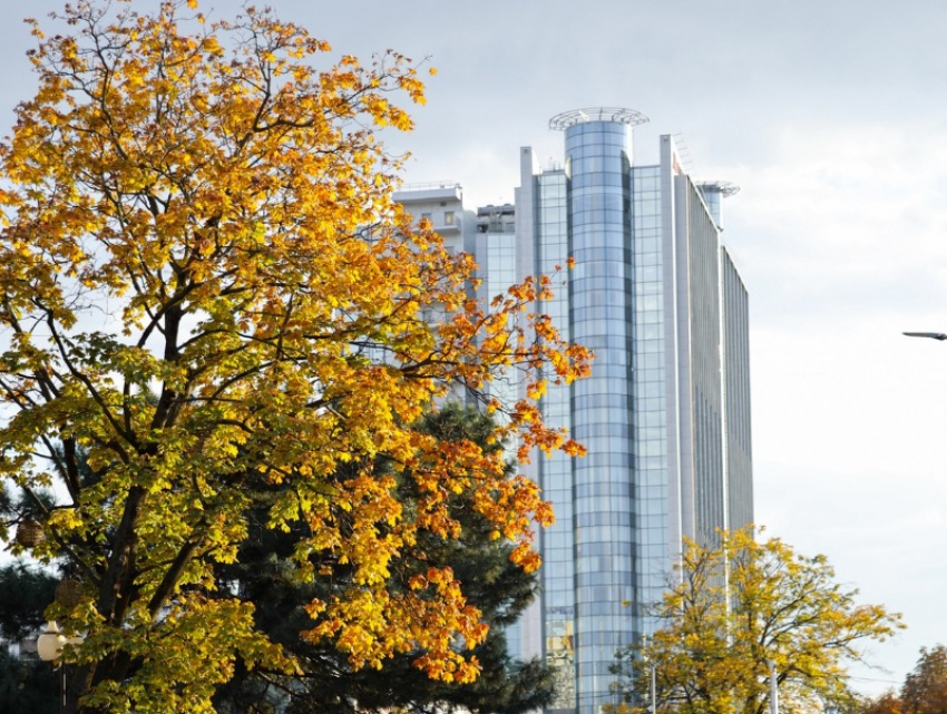 В Домклик оценили спрос на посуточную аренду к Новому году