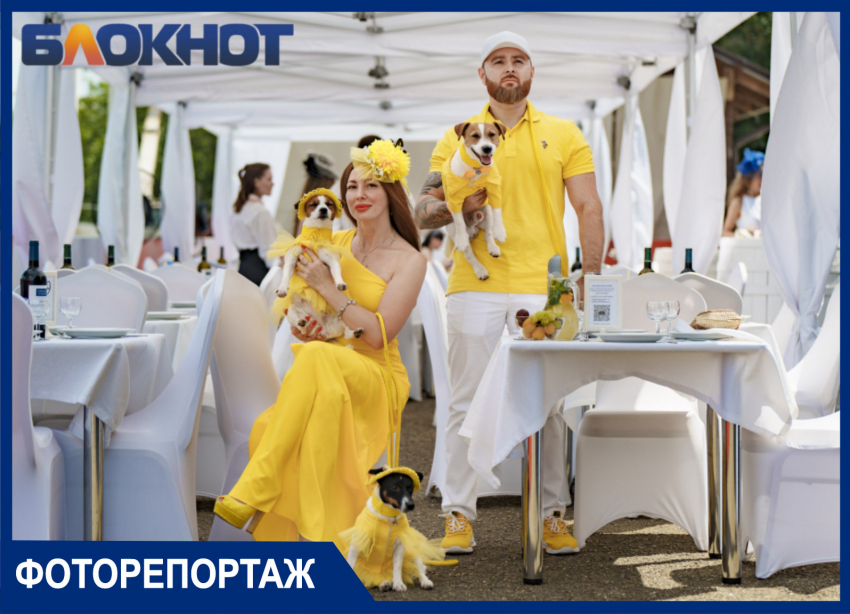 Собаки в платьях и сумка на голове: показываем необычные образы модниц Краснодарского ипподрома