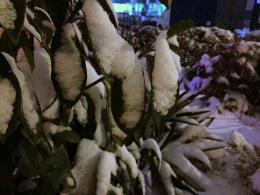 На Кубань пришла зима и 15-градусные морозы