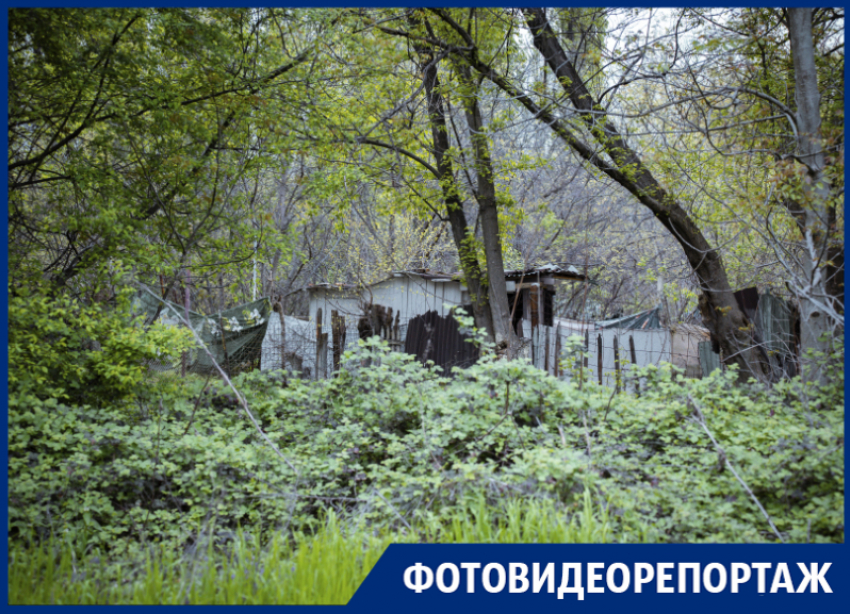 «Я чиновник и силовик-многоженец»: о жизни бездомного «Бороды» на краснодарской «Рублёвке»