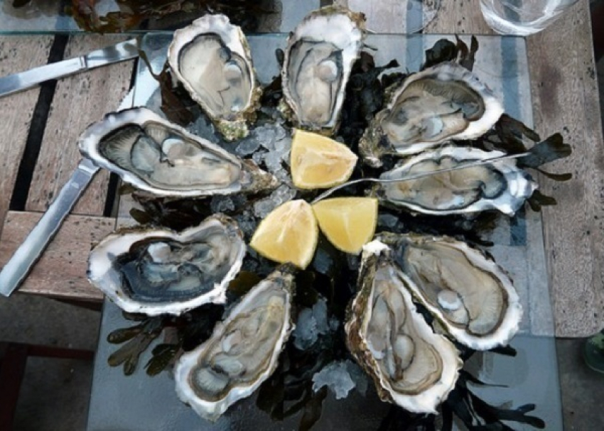 На Кубани выделят 420 га в Черном море для выращивания мидий и устриц 