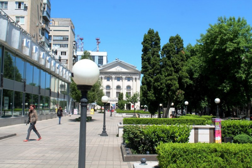 «Скоро уже будем рассказывать, что Краснодар когда-то был городом, утопающим в зелени», – депутат Заксобрания Кубани о массовой вырубке деревьев и проекте «7 улиц» 