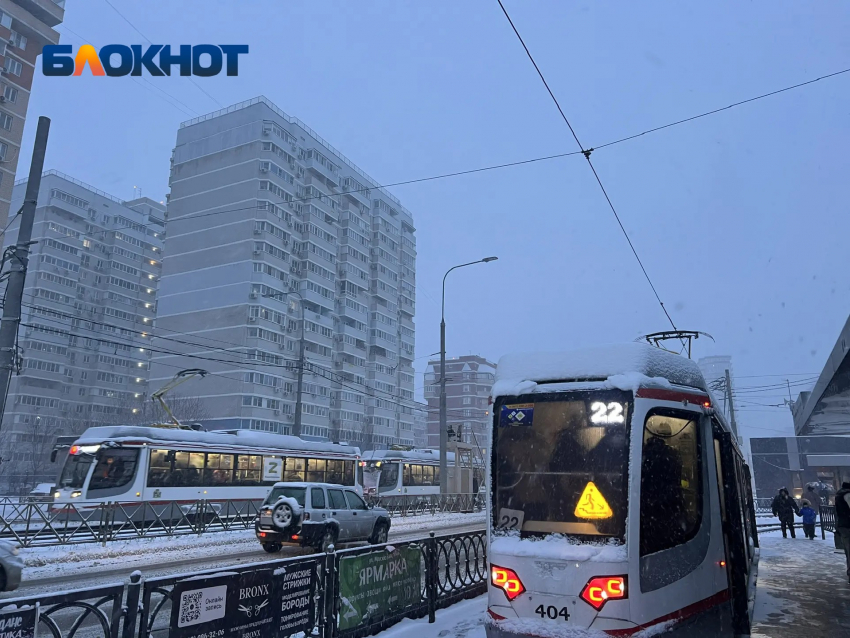 Снегопад, слякоть и пробки: Краснодар переживает настоящую зиму