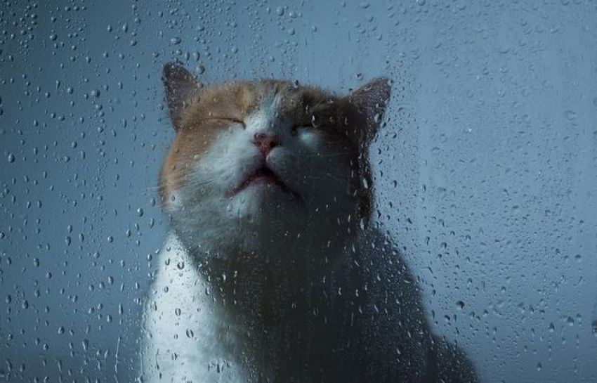 Синоптики прогнозируют в Краснодарском крае грозовые дожди