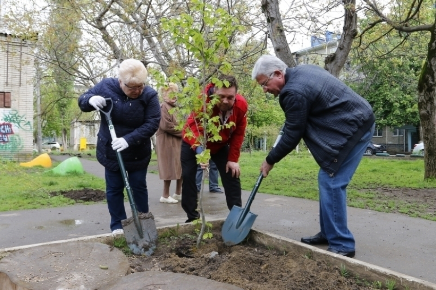 В Краснодаре Владимир Евланов посадил деревья на Всекубанском субботнике