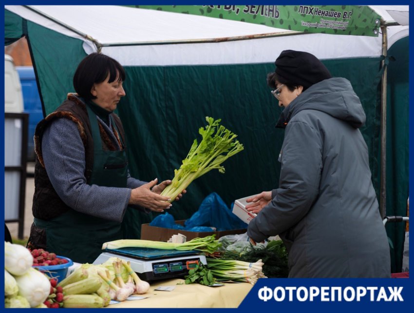 Гречишный мед, манговый зефир и язык в желе: что предлагает краснодарцам ярмарка выходного дня