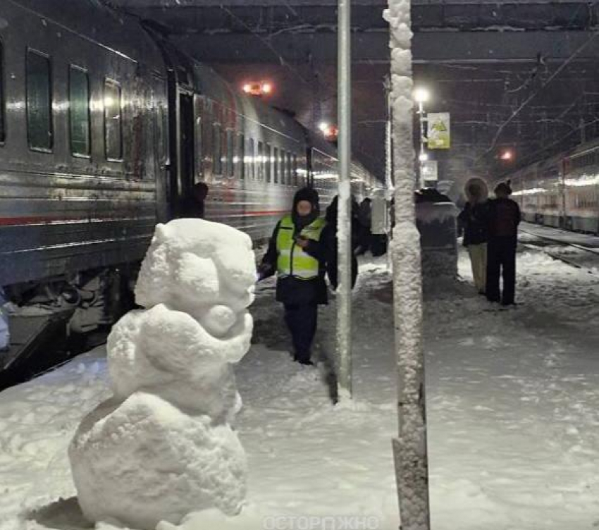 В РЖД объявили о восстановлении инфраструктуры на Кубани после сильных снегопадов 