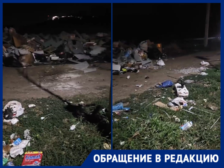 Жители краснодарского поселка гуляют среди мусорных куч и зарослей амброзии