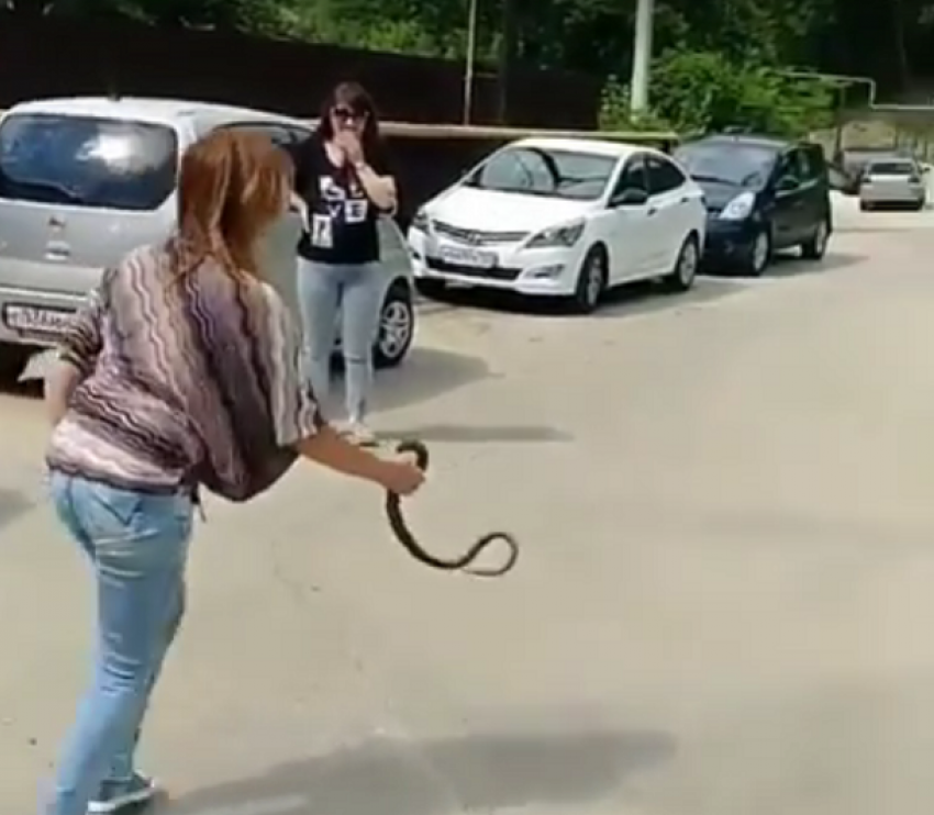 «Суровая сочинская женщина» показала, как нужно вести себя со змеями 