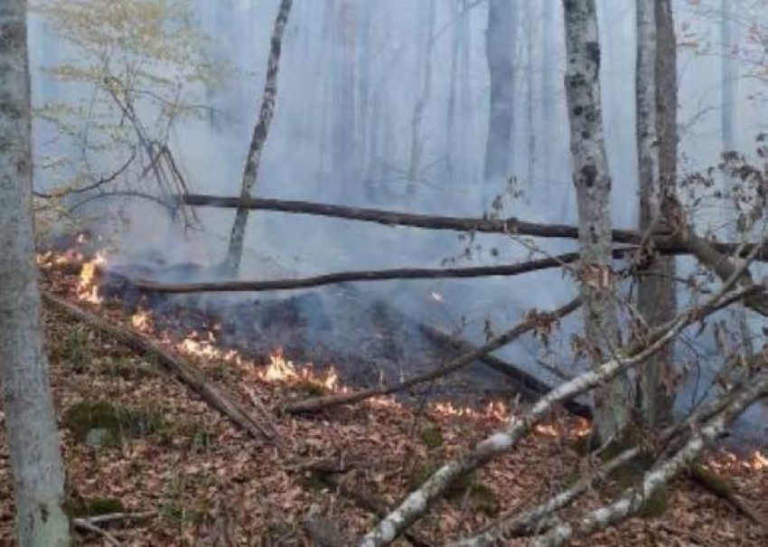 Три очага природного пожара локализовали в Северском районе