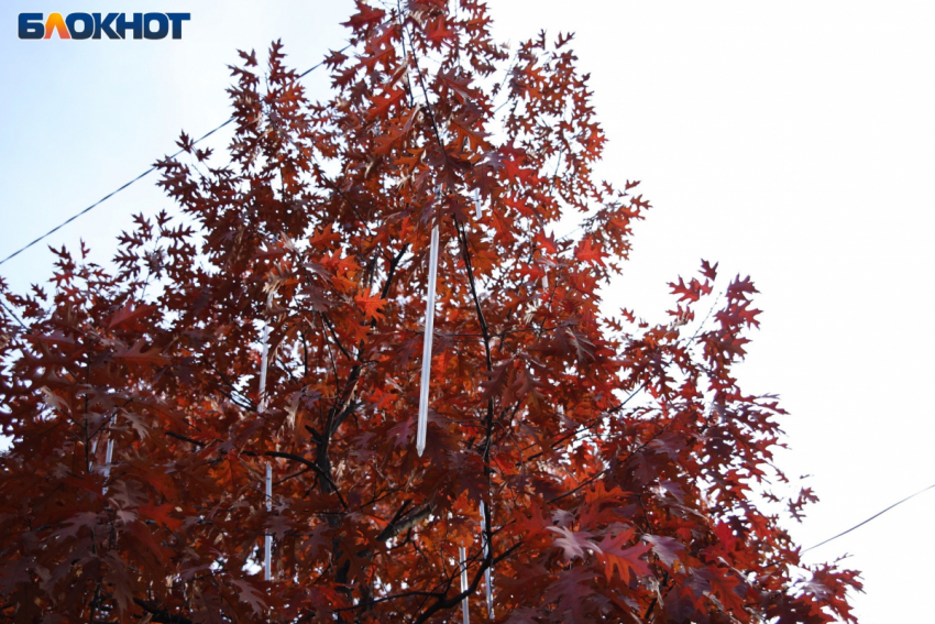 Последняя неделя осени принесет в Краснодар небольшое похолодание