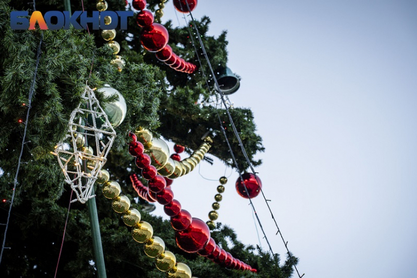 От африканок до Деда Мороза в окне: какие необычные поздравления предлагают краснодарцам