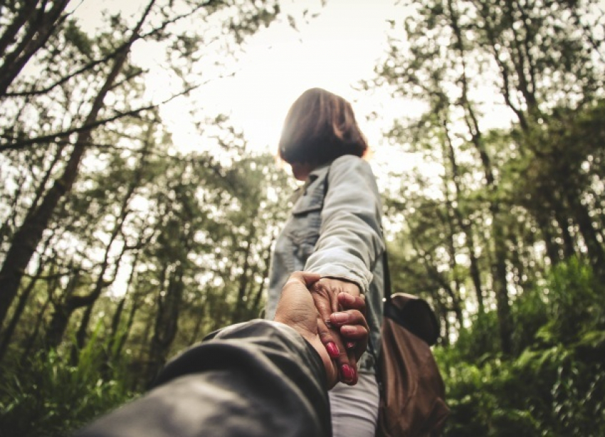 Краснодар хотят сделать первым в России городом с лесом