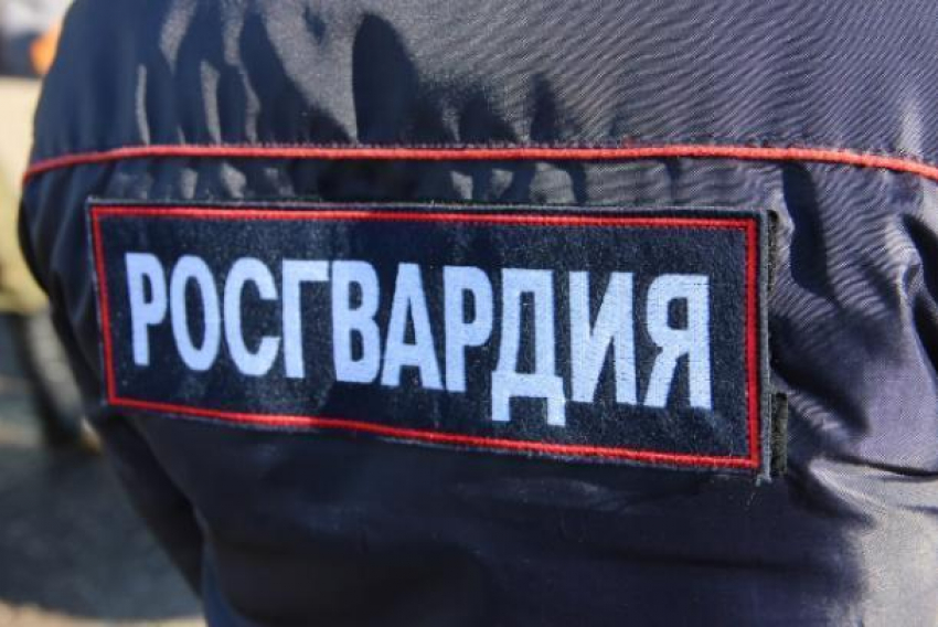 Попавших под обстрел бойцов Росгвардии в Краснодаре поощрят 