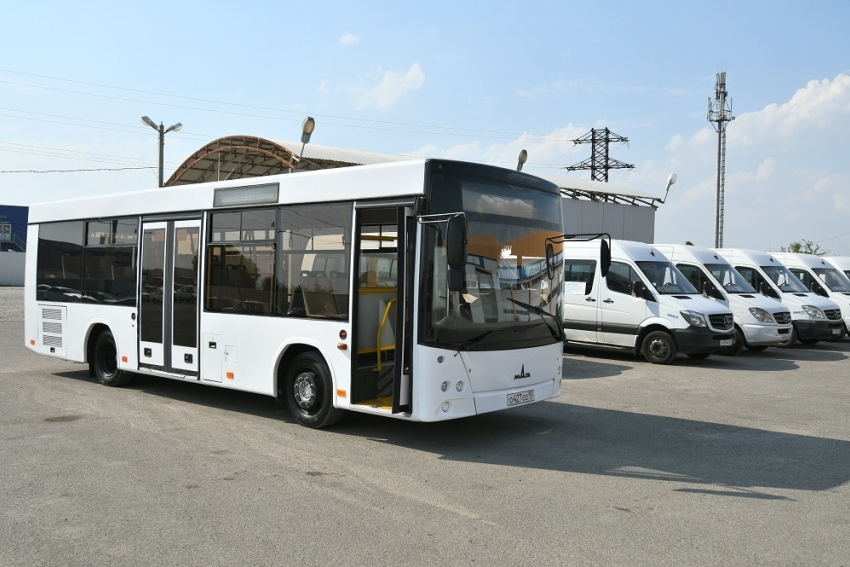 Новые автобусы без кондиционеров закупили для Краснодара