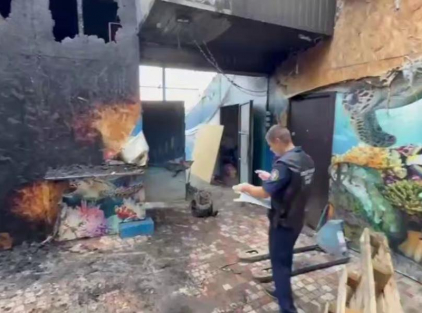 СК показал жуткие кадры с массового места гибели крокодилов и черепахи