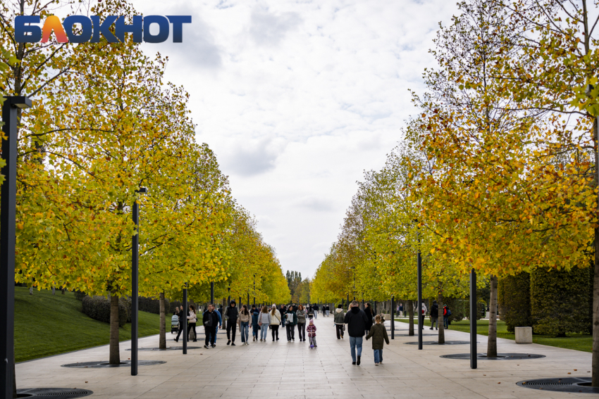 Настоящая золотая осень: что ждет жителей Кубани в ноябрьские выходные