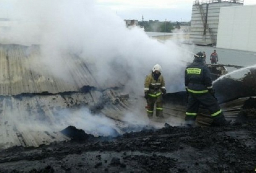 На территории сгоревшего завода в Крымске проживали таджики-нелегалы 