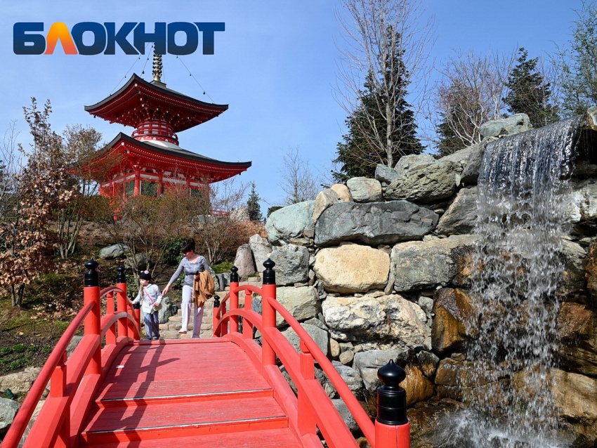 Придет ли на Кубань сумасшедшее потепление в начале весны - озвучен прогноз