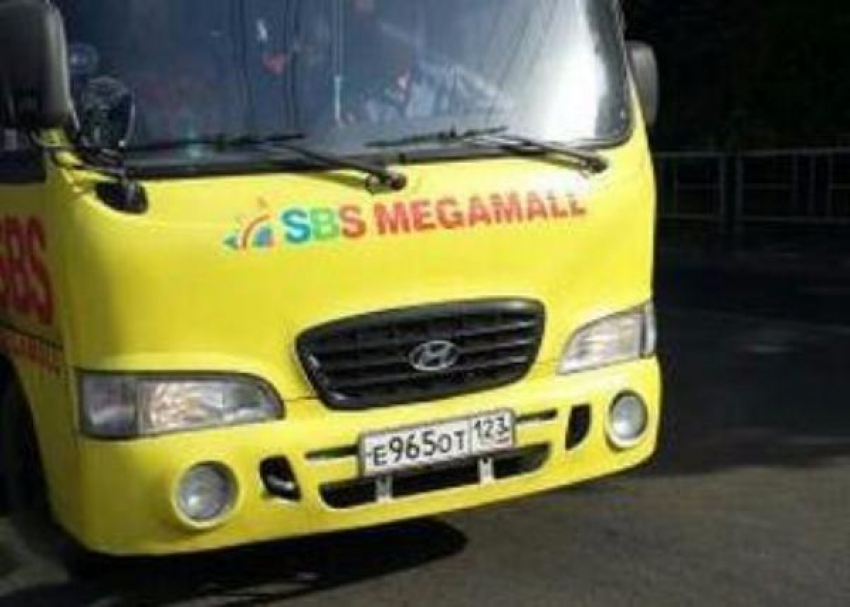 "Его тоже можно понять, но кто поймёт нас?"- краснодарцев возмутили действия водителя маршрутки