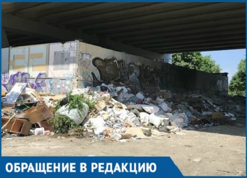 Крысы и вонь появились под Северным мостом Краснодара из-за гор мусора