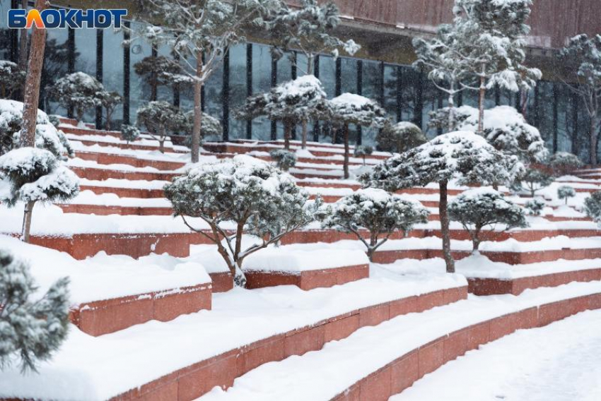 Мороз не хочет уходить из Краснодара: о погоде на 20 января  