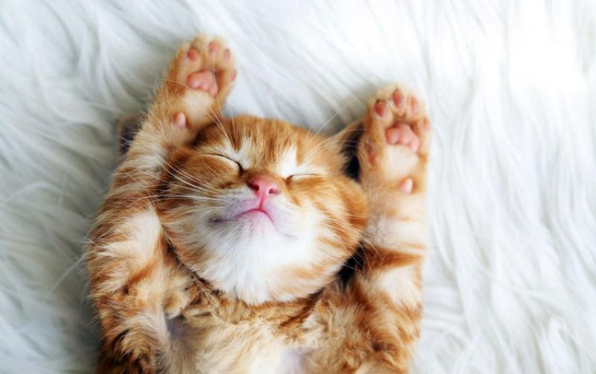 Небольшое потепление придет в Краснодарский край 11 февраля