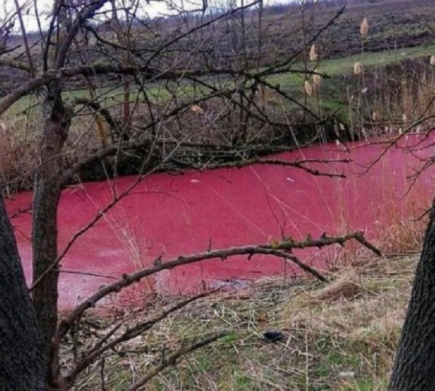 «Кровавый» канал под Краснодаром экологи сочли незагрязненным