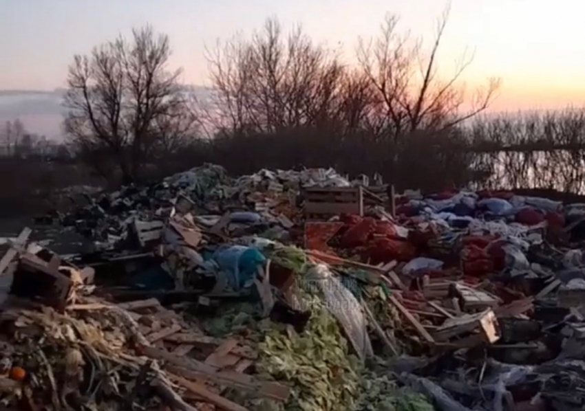 Полиция разыскивает виновников свалки на берегу Кубань в Краснодаре