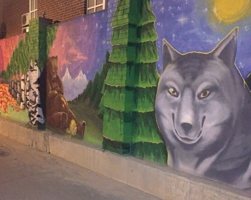 В Краснодаре изображенный на заборе волк стал интернет-мемом 