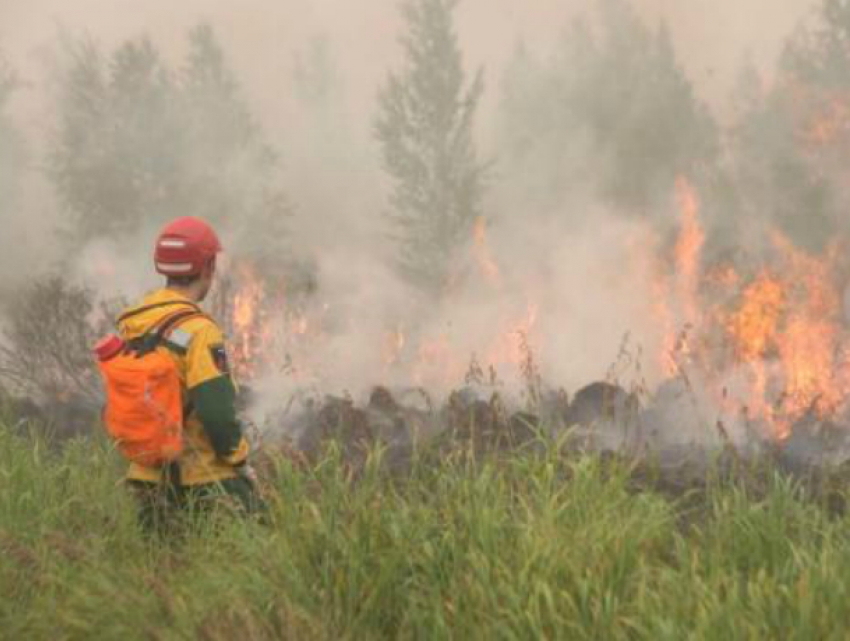 Экстренное предупреждение: на Кубани при жаре в +39 сохраняется высокая пожароопасность