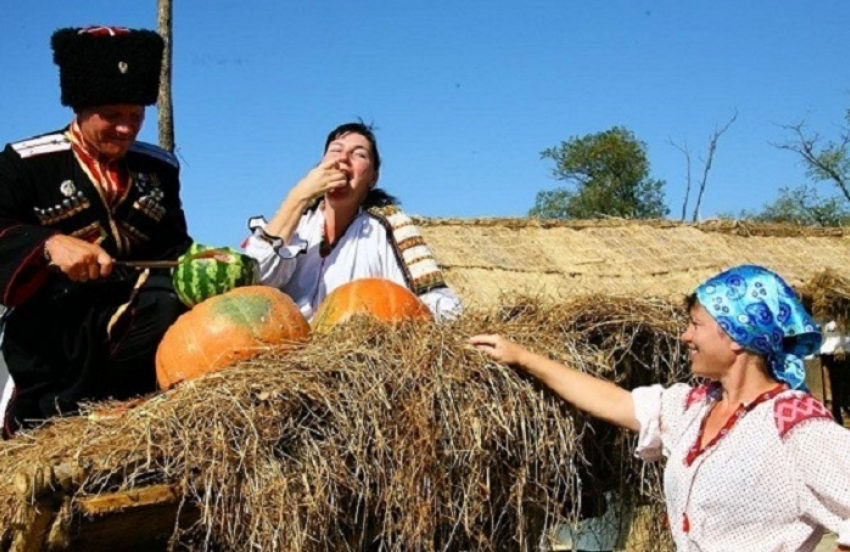 Фонд поддержки казачьих сельскохозяйственных кооперативов хотят создать на Кубани