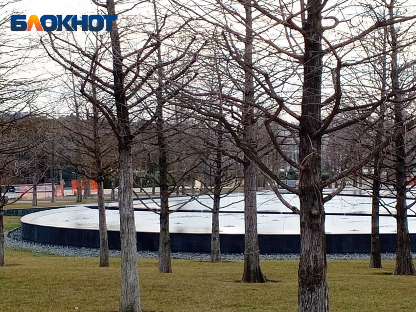 В парке Галицкого готовят к открытию новый водоём «Лесное озеро»