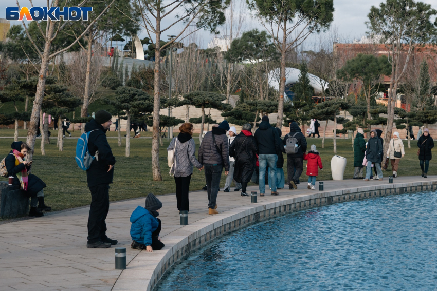 Температурные «американские горки» с +17 до +4 надвигаются на Краснодар