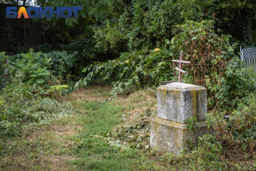 Банду будут судить за торговлю местами на кладбище под Краснодаром