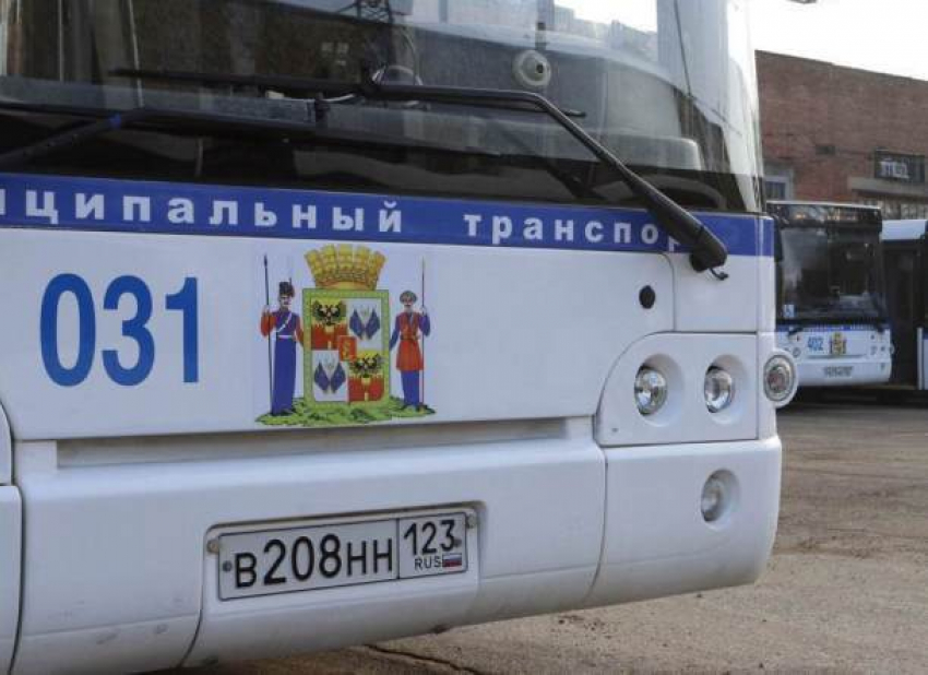 До нового музея Краснодара продлили автобусный маршрут