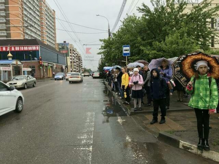 Очереди школьников под дождем: итог закрытия троллейбусных маршрутов в Краснодаре