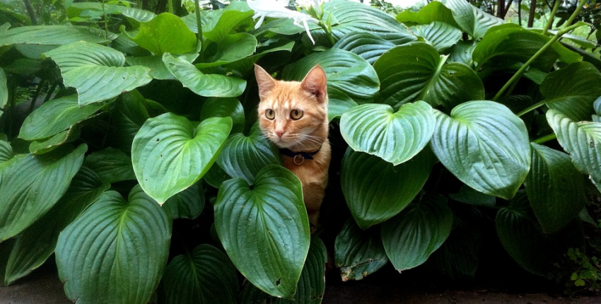 Тепло, но ветрено будет на Кубани 