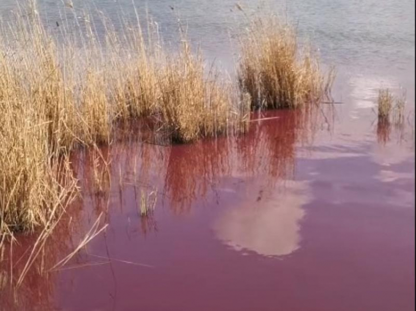 На Кубани река окрасилась в красный цвет