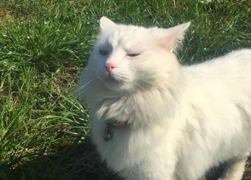 Дожди не вернутся, солнечно будет на Кубани 