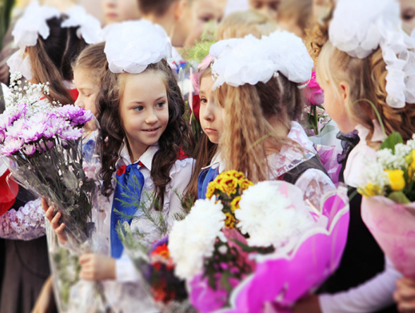 Вместо букетов учителям на 1 сентября экологи Краснодара предложили посадить деревья