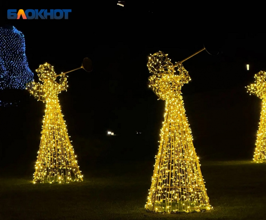 Парк Галицкого «переехал» из Краснодара в Москву