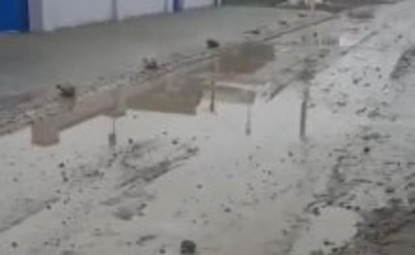 «Каждое утро я окунаюсь в дерьмо», - жительница станицы Благовещенская