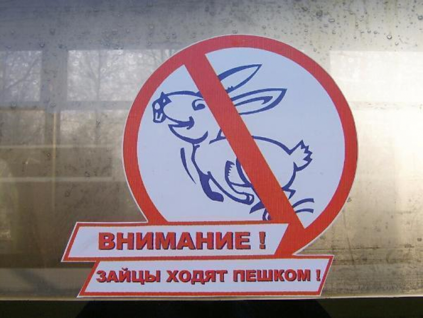 Северокавказская железная дорога высадила около 500 безбилетников